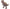 Jurassic World T-Rex Balloon – Giant 30×31″ Supershape Dinosaur Foil Balloon (Uninflated) 🦖🎈